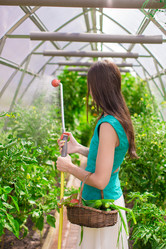 Similar image 10964832