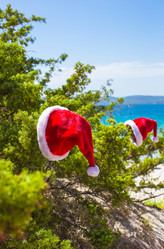 Similar image 10977691