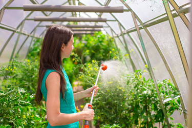 Similar image 10964853