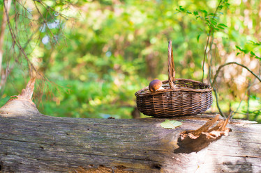 Similar image 10975652