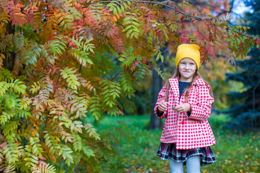 Similar image 10972389