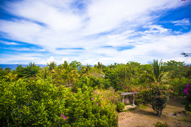 Similar image 10977811