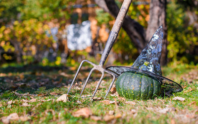 Similar image 10990138