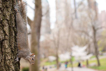 Similar image 10977487