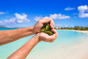 Similar image 10977386