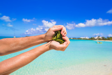 Similar image 10977433