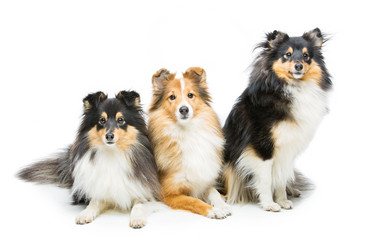 Similar image 11287463