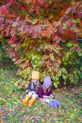 Similar image 10970962