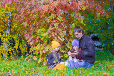 Similar image 10970994