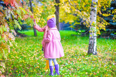 Similar image 10971339