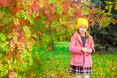 Similar image 10971489