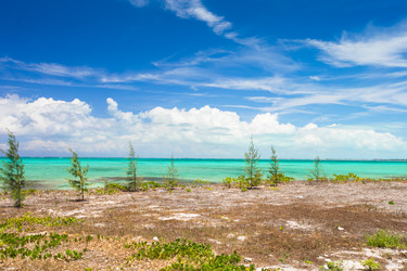 Similar image 10990562