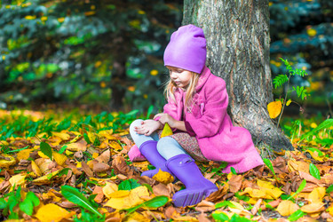 Similar image 10972268