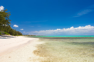 Similar image 10977392