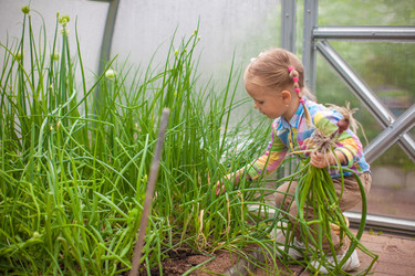 Similar image 10962807