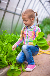 Similar image 10962825