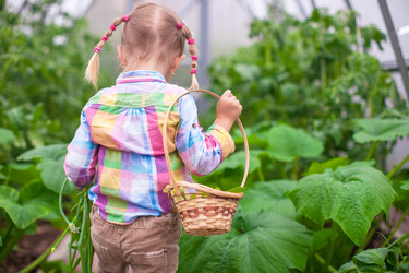 Similar image 10962827