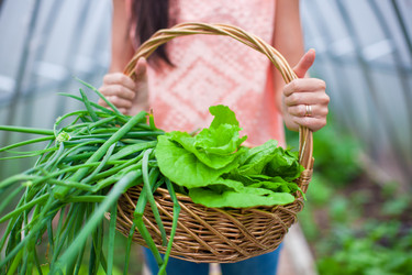 Similar image 10965414