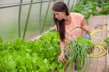 Similar image 10965440