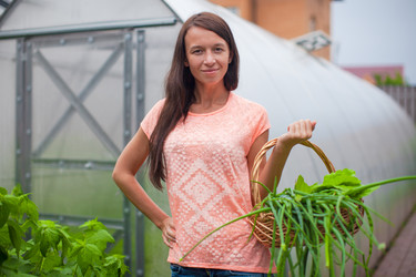 Similar image 10965502