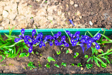 Similar image 10977561