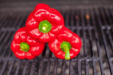 Similar image 10977578