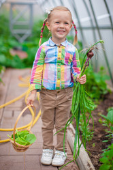 Similar image 10963006