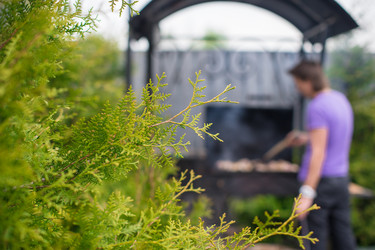 Similar image 10970443