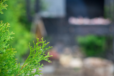 Similar image 10977850