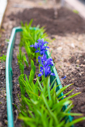 Similar image 10977939