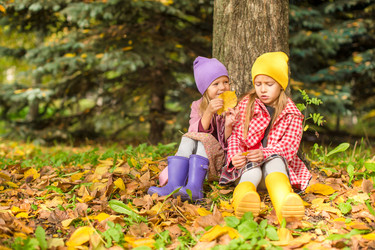 Similar image 10971578