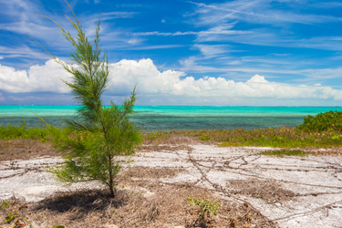 Similar image 10990760