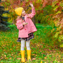 Similar image 10963132