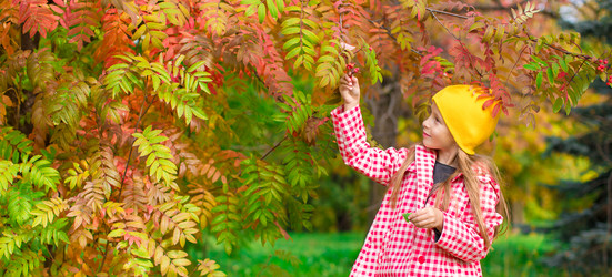 Similar image 10963151