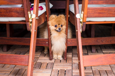 Similar image 10991137