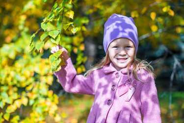 Similar image 10962835