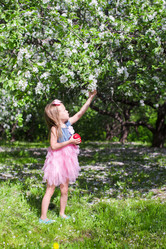 Similar image 10962838