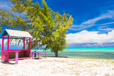 Similar image 10977453