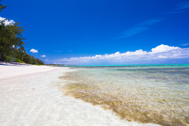 Similar image 10990316