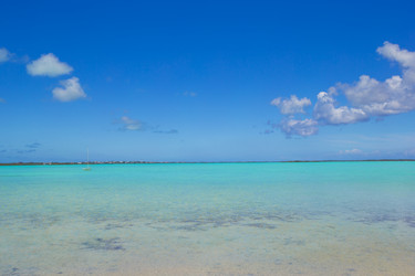 Similar image 10990516