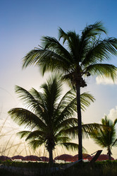 Similar image 10975867