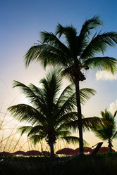 Similar image 10975868