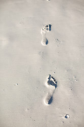 Similar image 10989267