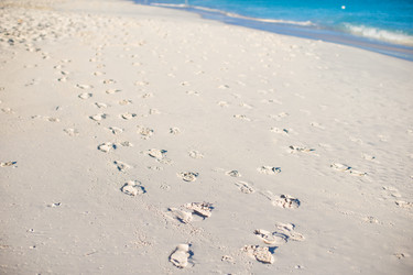 Similar image 10990209