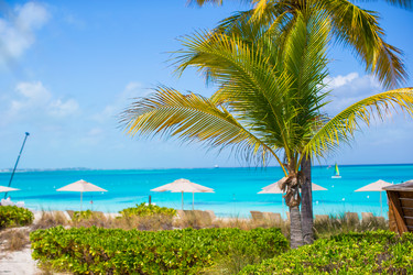 Similar image 10988850