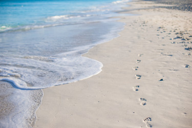 Similar image 10989022