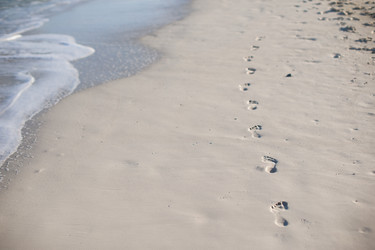 Similar image 10989886