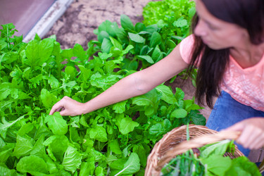 Similar image 10989367