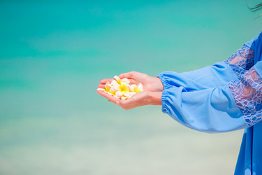 Similar image 10963282