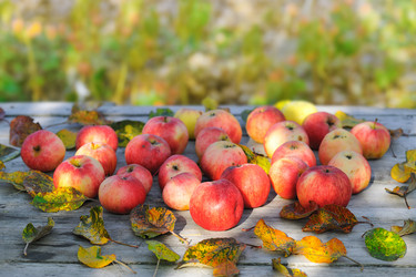 Similar image 11141020